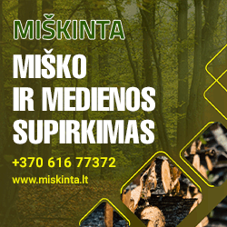 miskinta.lt